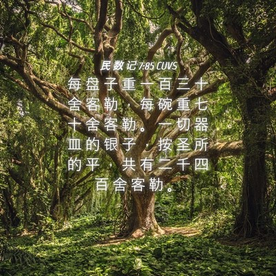Picture 04 - 民 数 记 7:85 CUVS - 每 盘 子 重 一 百 三 十 舍 客 勒 ， - Bible Verse Picture