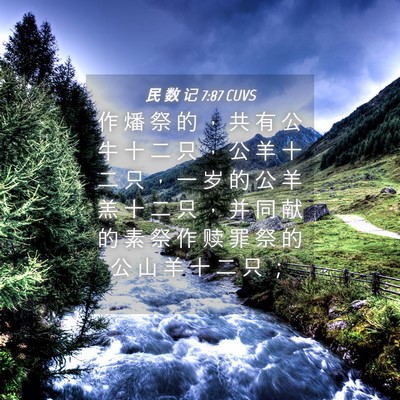 Picture 04 - 民 数 记 7:87 CUVS - 作 燔 祭 的 ， 共 有 公 牛 十 二 只 - Bible Verse Picture