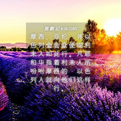 Picture 04 - 民 数 记 8:20 CUVS - 摩 西 、 亚 伦 ， 并 以 色 列 全 会 - Bible Verse Picture