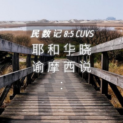 Picture 04 - 民 数 记 8:5 CUVS - 耶 和 华 晓 谕 摩 西 说 - Bible Verse Picture