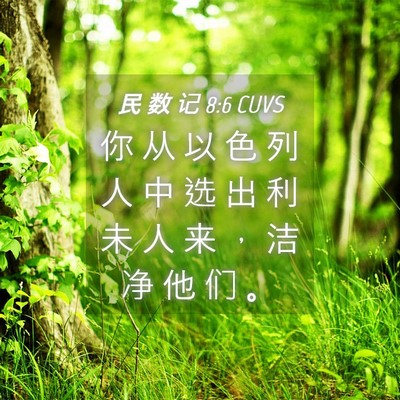 Picture 04 - 民 数 记 8:6 CUVS - 你 从 以 色 列 人 中 选 出 利 未 人 - Bible Verse Picture