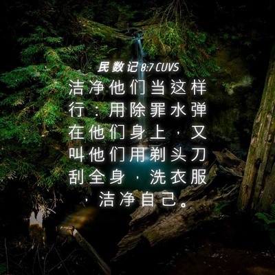 Picture 04 - 民 数 记 8:7 CUVS - 洁 净 他 们 当 这 样 行 ： 用 除 罪 - Bible Verse Picture