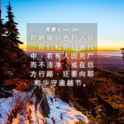 Picture 04 - 民 数 记 9:10 CUVS - 你 晓 谕 以 色 列 人 说 ： 你 们 和 - Bible Verse Picture