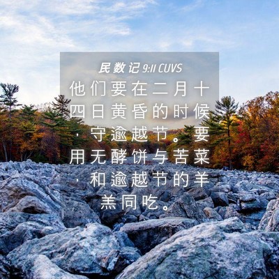 Picture 04 - 民 数 记 9:11 CUVS - 他 们 要 在 二 月 十 四 日 黄 昏 的 - Bible Verse Picture