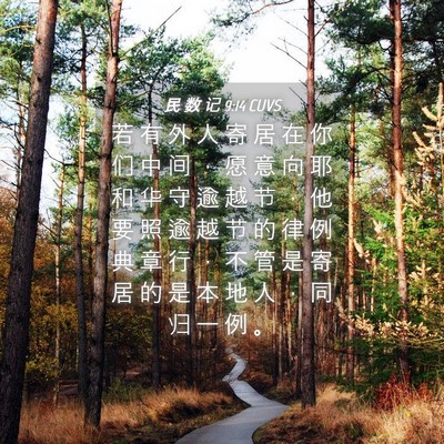 Picture 04 - 民 数 记 9:14 CUVS - 若 有 外 人 寄 居 在 你 们 中 间 ， - Bible Verse Picture