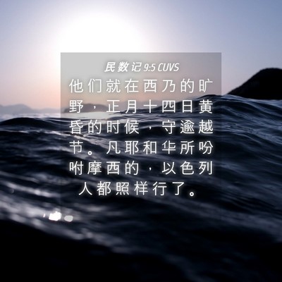 Picture 04 - 民 数 记 9:5 CUVS - 他 们 就 在 西 乃 的 旷 野 ， 正 月 - Bible Verse Picture