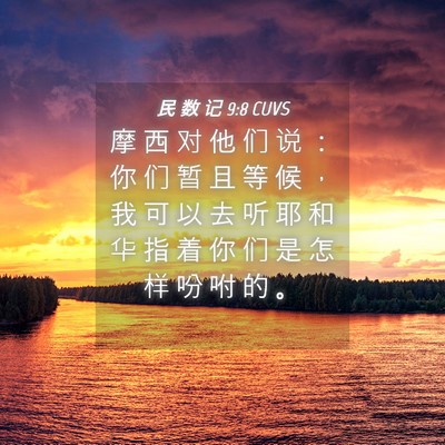 Picture 04 - 民 数 记 9:8 CUVS - 摩 西 对 他 们 说 ： 你 们 暂 且 等 - Bible Verse Picture