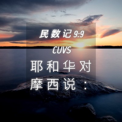 Picture 04 - 民 数 记 9:9 CUVS - 耶 和 华 对 摩 西 说 - Bible Verse Picture