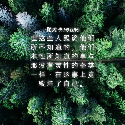 Picture 04 - 犹 大 书 1:10 CUVS - 但 这 些 人 毁 谤 他 们 所 不 知 道 - Bible Verse Picture