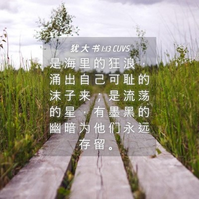 Picture 04 - 犹 大 书 1:13 CUVS - 是 海 里 的 狂 浪 ， 涌 出 自 己 可 - Bible Verse Picture