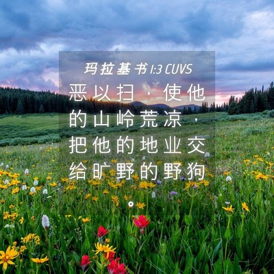 Picture 04 - 玛 拉 基 书 1:3 CUVS - 恶 以 扫 ， 使 他 的 山 岭 荒 凉 ， - Bible Verse Picture
