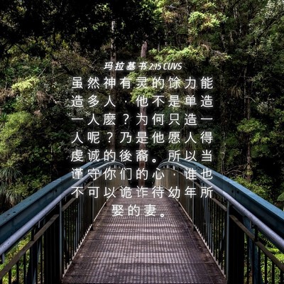 Picture 04 - 玛 拉 基 书 2:15 CUVS - 虽 然 神 有 灵 的 馀 力 能 造 多 人 - Bible Verse Picture