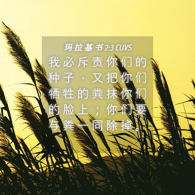 Picture 04 - 玛 拉 基 书 2:3 CUVS - 我 必 斥 责 你 们 的 种 子 ， 又 把 - Bible Verse Picture