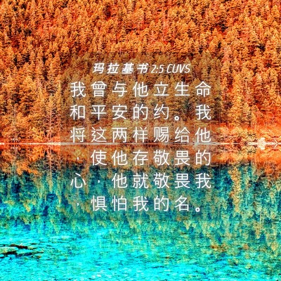 Picture 04 - 玛 拉 基 书 2:5 CUVS - 我 曾 与 他 立 生 命 和 平 安 的 约 - Bible Verse Picture
