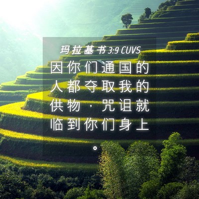 Picture 04 - 玛 拉 基 书 3:9 CUVS - 因 你 们 通 国 的 人 都 夺 取 我 的 - Bible Verse Picture