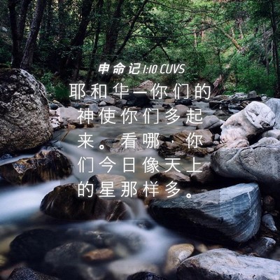 Picture 04 - 申 命 记 1:10 CUVS - 耶 和 华 ─ 你 们 的 神 使 你 们 多 - Bible Verse Picture