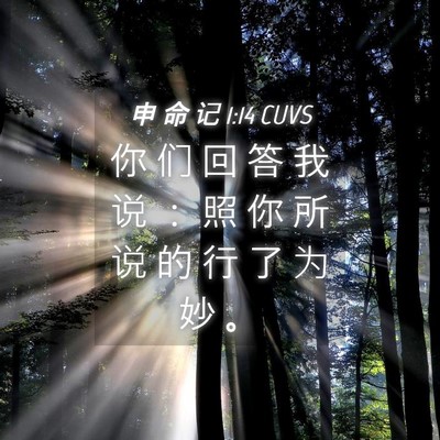 Picture 04 - 申 命 记 1:14 CUVS - 你 们 回 答 我 说 ： 照 你 所 说 的 - Bible Verse Picture