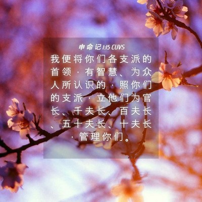 Picture 04 - 申 命 记 1:15 CUVS - 我 便 将 你 们 各 支 派 的 首 领 ， - Bible Verse Picture