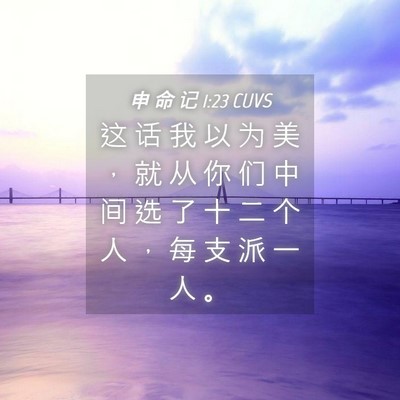 Picture 04 - 申 命 记 1:23 CUVS - 这 话 我 以 为 美 ， 就 从 你 们 中 - Bible Verse Picture