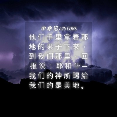 Picture 04 - 申 命 记 1:25 CUVS - 他 们 手 里 拿 着 那 地 的 果 子 下 - Bible Verse Picture