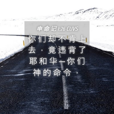 Picture 04 - 申 命 记 1:26 CUVS - 你 们 却 不 肯 上 去 ， 竟 违 背 了 - Bible Verse Picture