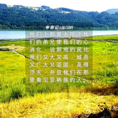 Picture 04 - 申 命 记 1:28 CUVS - 我 们 上 那 里 去 呢 ？ 我 们 的 弟 - Bible Verse Picture