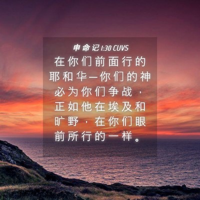 Picture 04 - 申 命 记 1:30 CUVS - 在 你 们 前 面 行 的 耶 和 华 ─ 你 - Bible Verse Picture