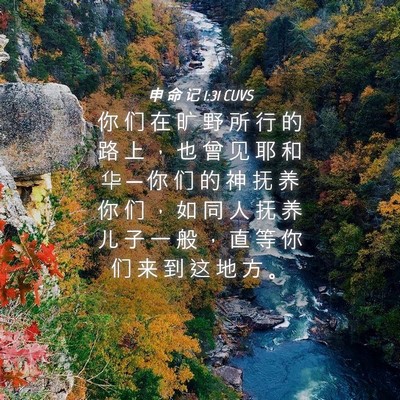 Picture 04 - 申 命 记 1:31 CUVS - 你 们 在 旷 野 所 行 的 路 上 ， 也 - Bible Verse Picture