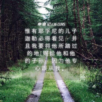 Picture 04 - 申 命 记 1:36 CUVS - 惟 有 耶 孚 尼 的 儿 子 迦 勒 必 得 - Bible Verse Picture