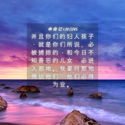 Picture 04 - 申 命 记 1:39 CUVS - 并 且 你 们 的 妇 人 孩 子 ， 就 是 - Bible Verse Picture