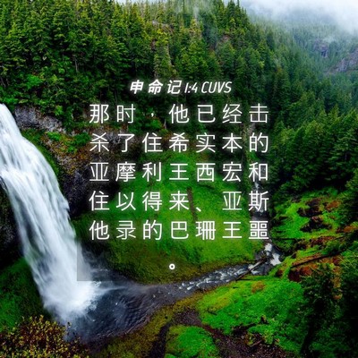 Picture 04 - 申 命 记 1:4 CUVS - 那 时 ， 他 已 经 击 杀 了 住 希 实 - Bible Verse Picture