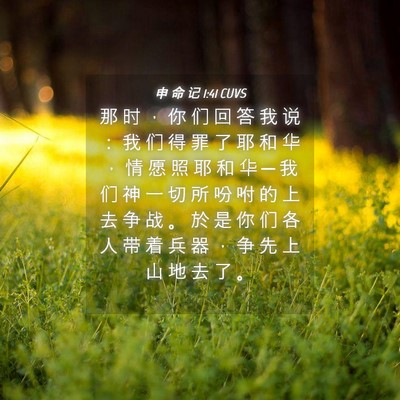 Picture 04 - 申 命 记 1:41 CUVS - 那 时 ， 你 们 回 答 我 说 ： 我 们 - Bible Verse Picture