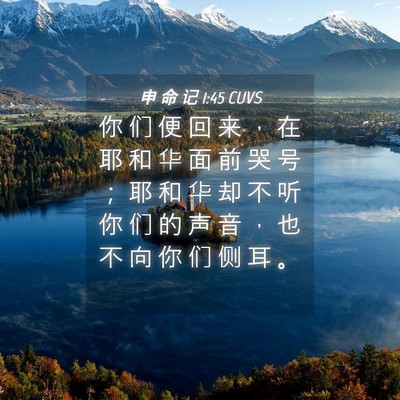 Picture 04 - 申 命 记 1:45 CUVS - 你 们 便 回 来 ， 在 耶 和 华 面 前 - Bible Verse Picture