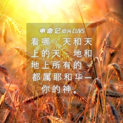 Picture 04 - 申 命 记 10:14 CUVS - 看 哪 ， 天 和 天 上 的 天 ， 地 和 - Bible Verse Picture