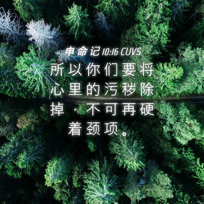 Picture 04 - 申 命 记 10:16 CUVS - 所 以 你 们 要 将 心 里 的 污 秽 除 - Bible Verse Picture