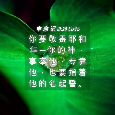 Picture 04 - 申 命 记 10:20 CUVS - 你 要 敬 畏 耶 和 华 ─ 你 的 神 ， - Bible Verse Picture
