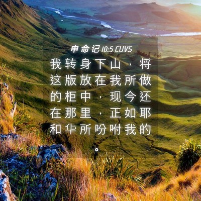 Picture 04 - 申 命 记 10:5 CUVS - 我 转 身 下 山 ， 将 这 版 放 在 我 - Bible Verse Picture