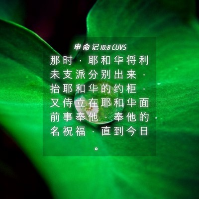 Picture 04 - 申 命 记 10:8 CUVS - 那 时 ， 耶 和 华 将 利 未 支 派 分 - Bible Verse Picture