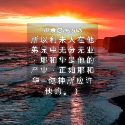 Picture 04 - 申 命 记 10:9 CUVS - 所 以 利 未 人 在 他 弟 兄 中 无 分 - Bible Verse Picture