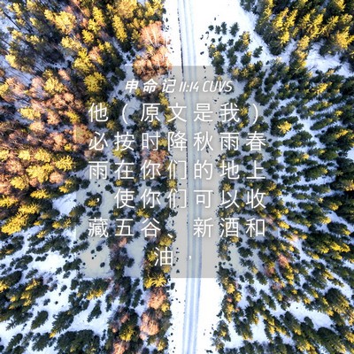 Picture 04 - 申 命 记 11:14 CUVS - 他 （ 原 文 是 我 ） 必 按 时 降 秋 - Bible Verse Picture