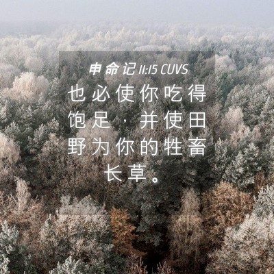 Picture 04 - 申 命 记 11:15 CUVS - 也 必 使 你 吃 得 饱 足 ， 并 使 田 - Bible Verse Picture