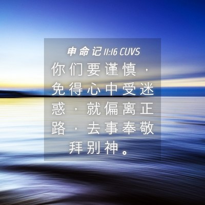Picture 04 - 申 命 记 11:16 CUVS - 你 们 要 谨 慎 ， 免 得 心 中 受 迷 - Bible Verse Picture
