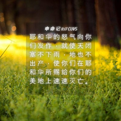 Picture 04 - 申 命 记 11:17 CUVS - 耶 和 华 的 怒 气 向 你 们 发 作 ， - Bible Verse Picture