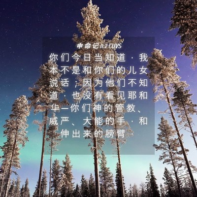 Picture 04 - 申 命 记 11:2 CUVS - 你 们 今 日 当 知 道 ， 我 本 不 是 - Bible Verse Picture