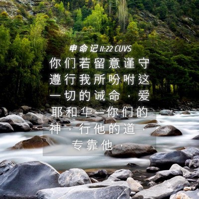 Picture 04 - 申 命 记 11:22 CUVS - 你 们 若 留 意 谨 守 遵 行 我 所 吩 - Bible Verse Picture