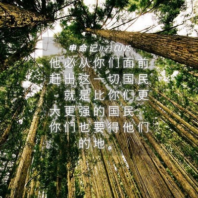 Picture 04 - 申 命 记 11:23 CUVS - 他 必 从 你 们 面 前 赶 出 这 一 切 - Bible Verse Picture