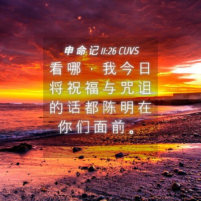 Picture 04 - 申 命 记 11:26 CUVS - 看 哪 ， 我 今 日 将 祝 福 与 咒 诅 - Bible Verse Picture