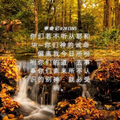 Picture 04 - 申 命 记 11:28 CUVS - 你 们 若 不 听 从 耶 和 华 ─ 你 们 - Bible Verse Picture
