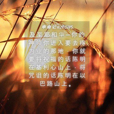Picture 04 - 申 命 记 11:29 CUVS - 及 至 耶 和 华 ─ 你 的 神 领 你 进 - Bible Verse Picture