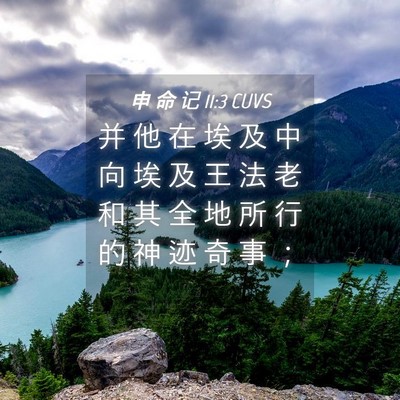 Picture 04 - 申 命 记 11:3 CUVS - 并 他 在 埃 及 中 向 埃 及 王 法 老 - Bible Verse Picture